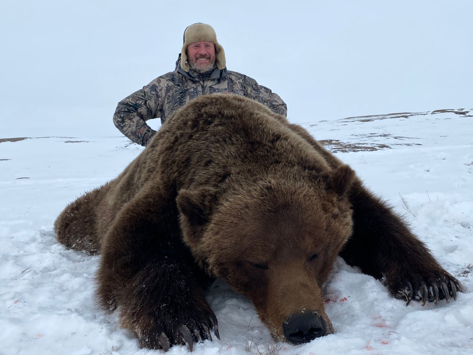 barren-ground-grizzly-trophy