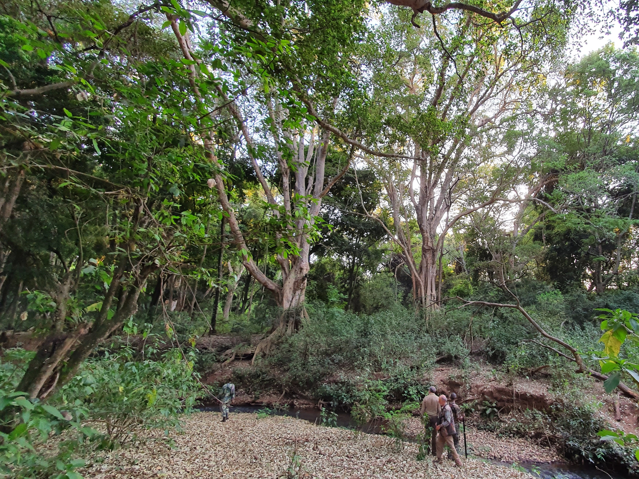 best-trophy-hunts-in-ethiopia