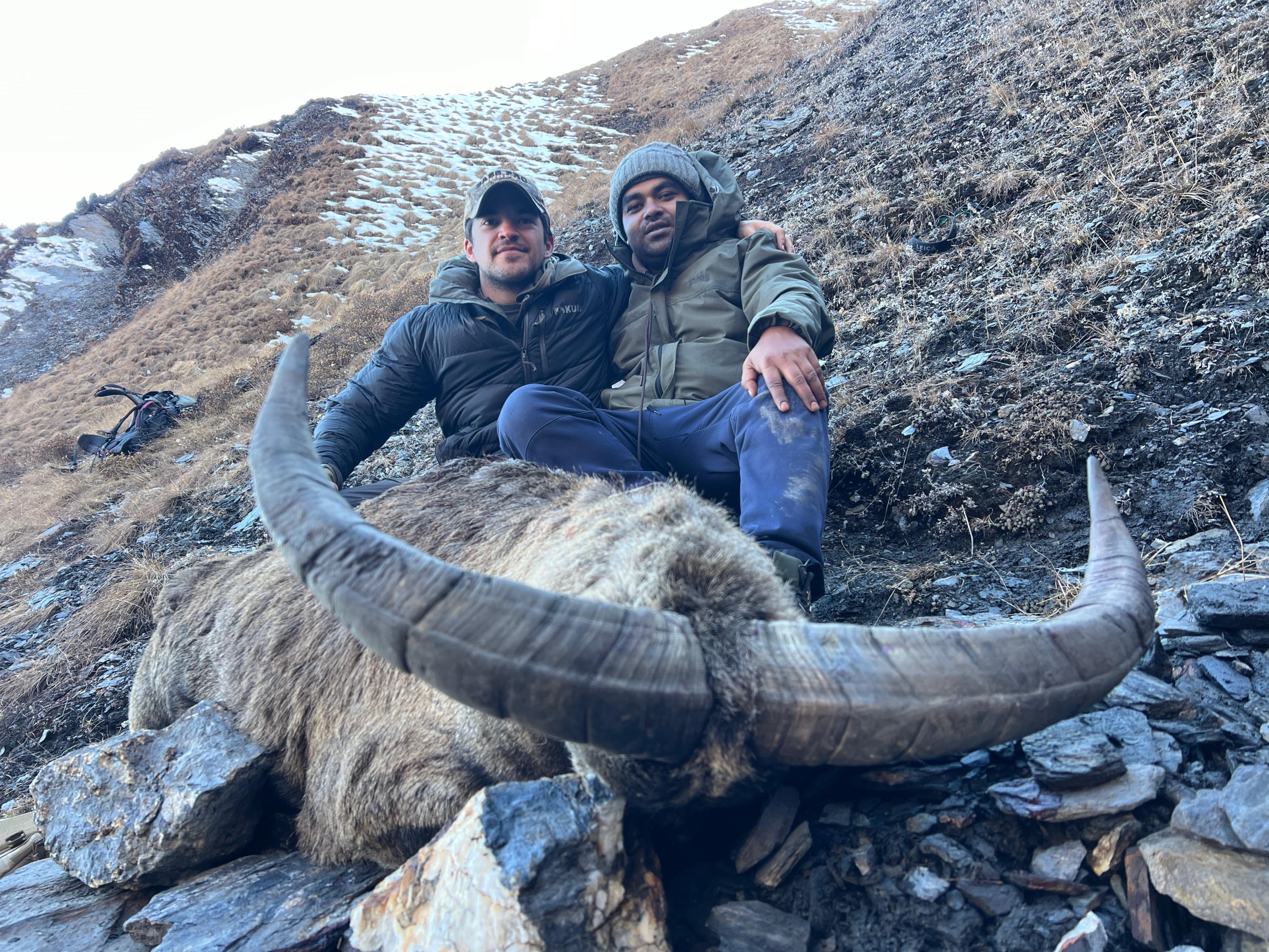 blue-sheep-hunt-nepal
