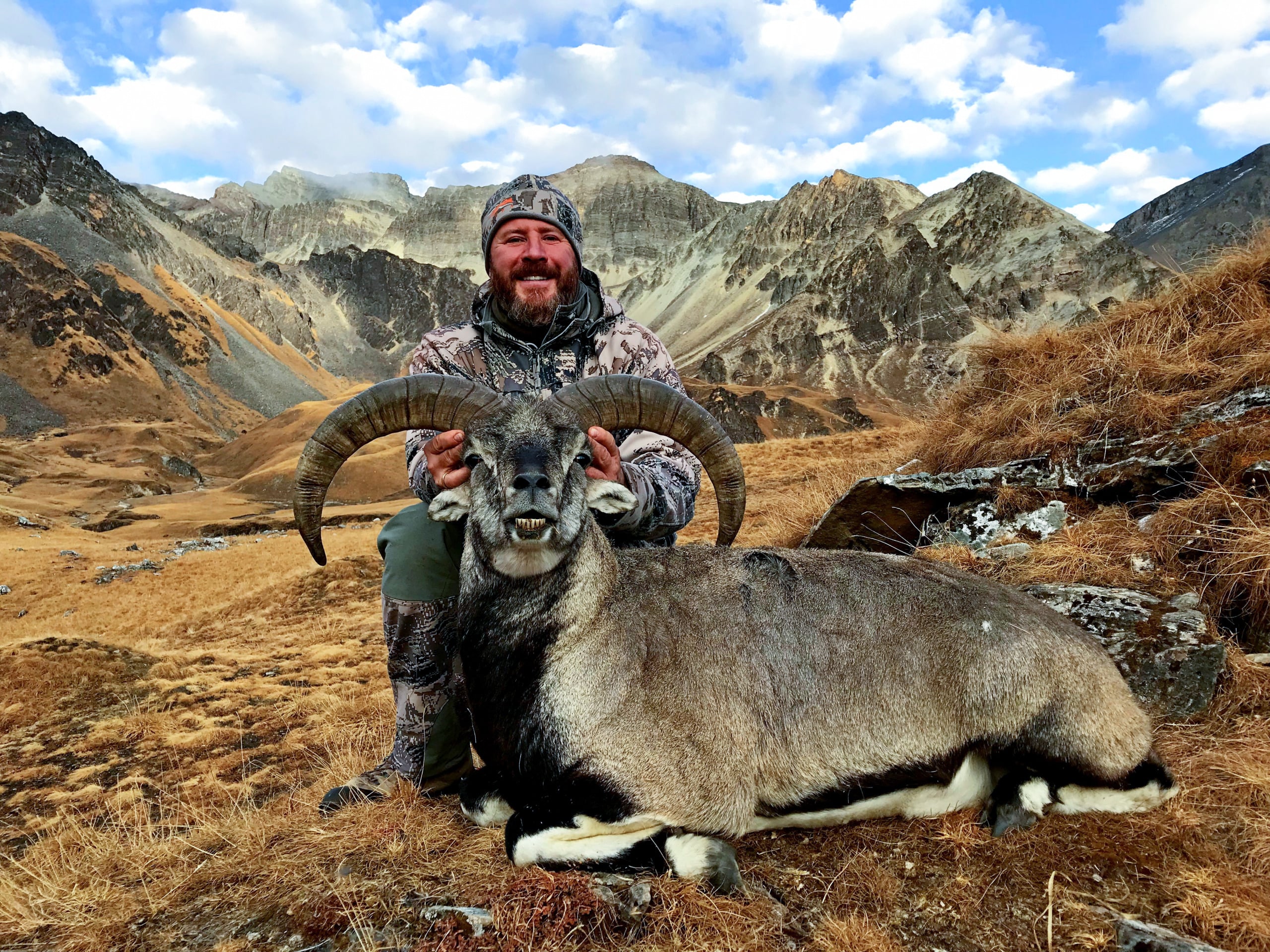 blue-sheep-hunt-nepal
