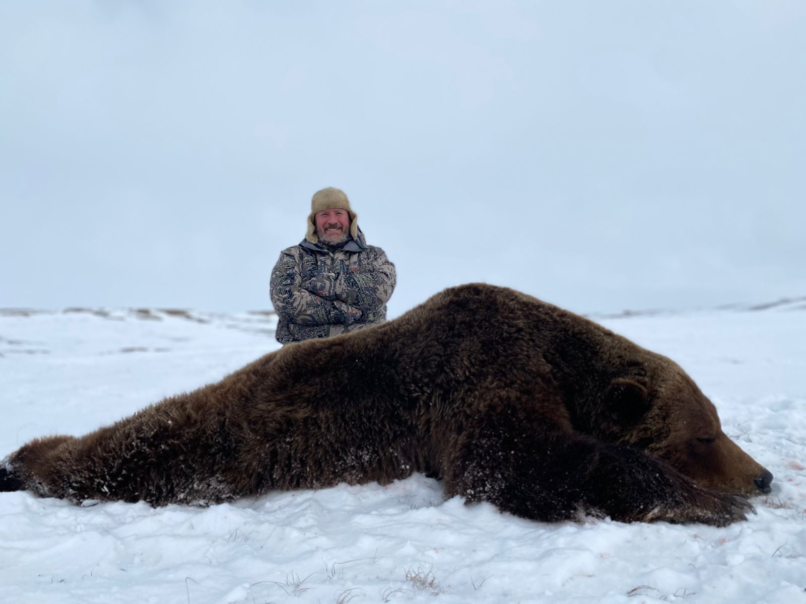 canada-brown-bear-hunt