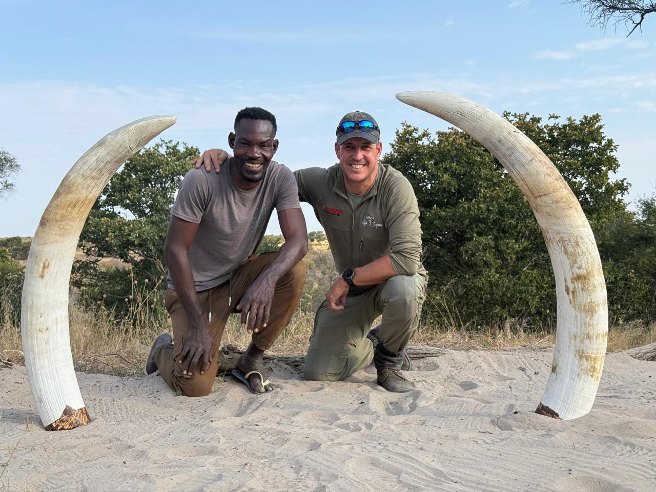 elephant-tusks-botswana