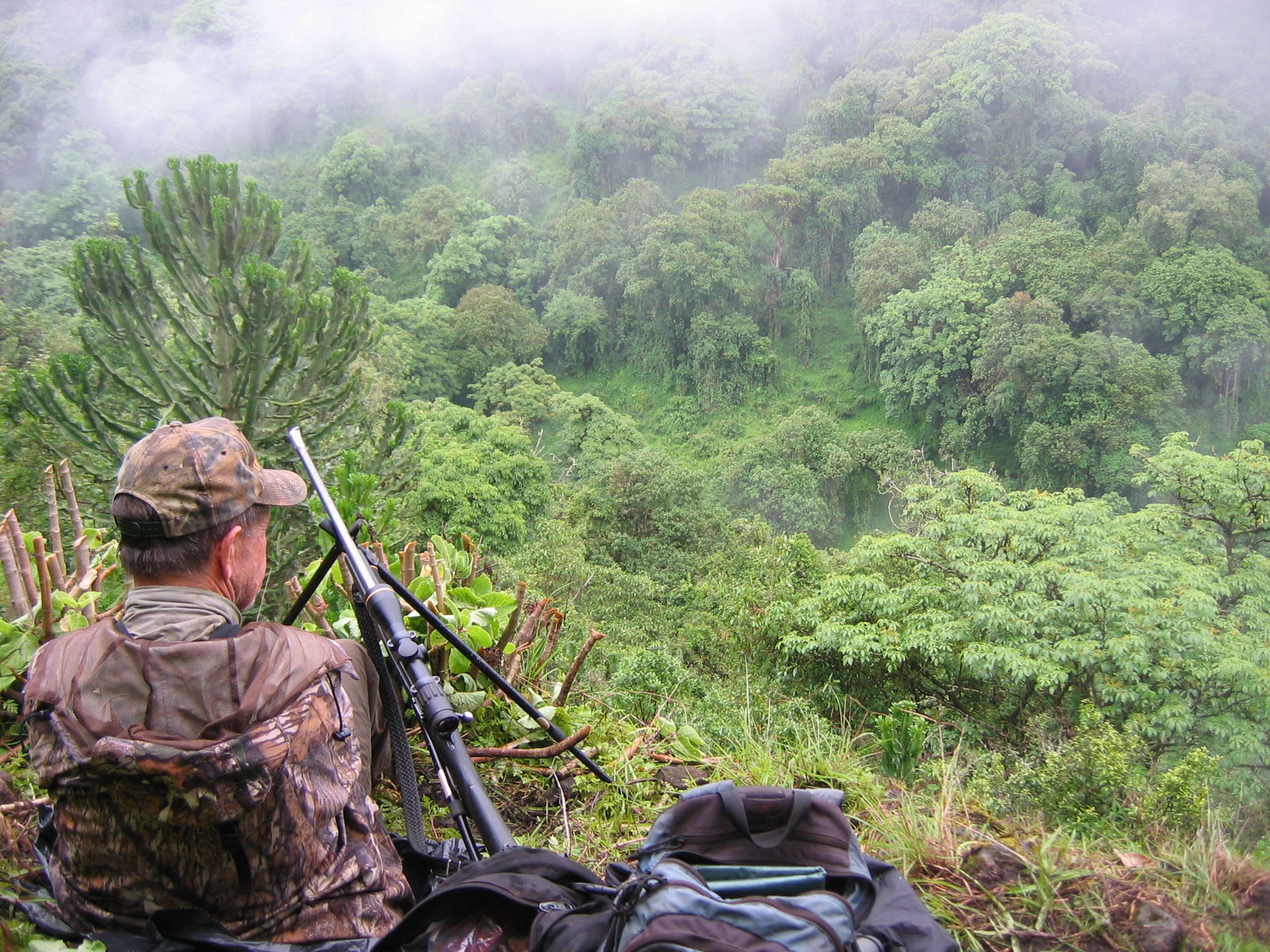 glassing-for-mountain-nyala