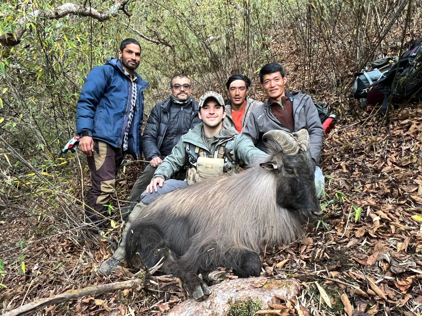 himalayan-tahr-trophy-nepal
