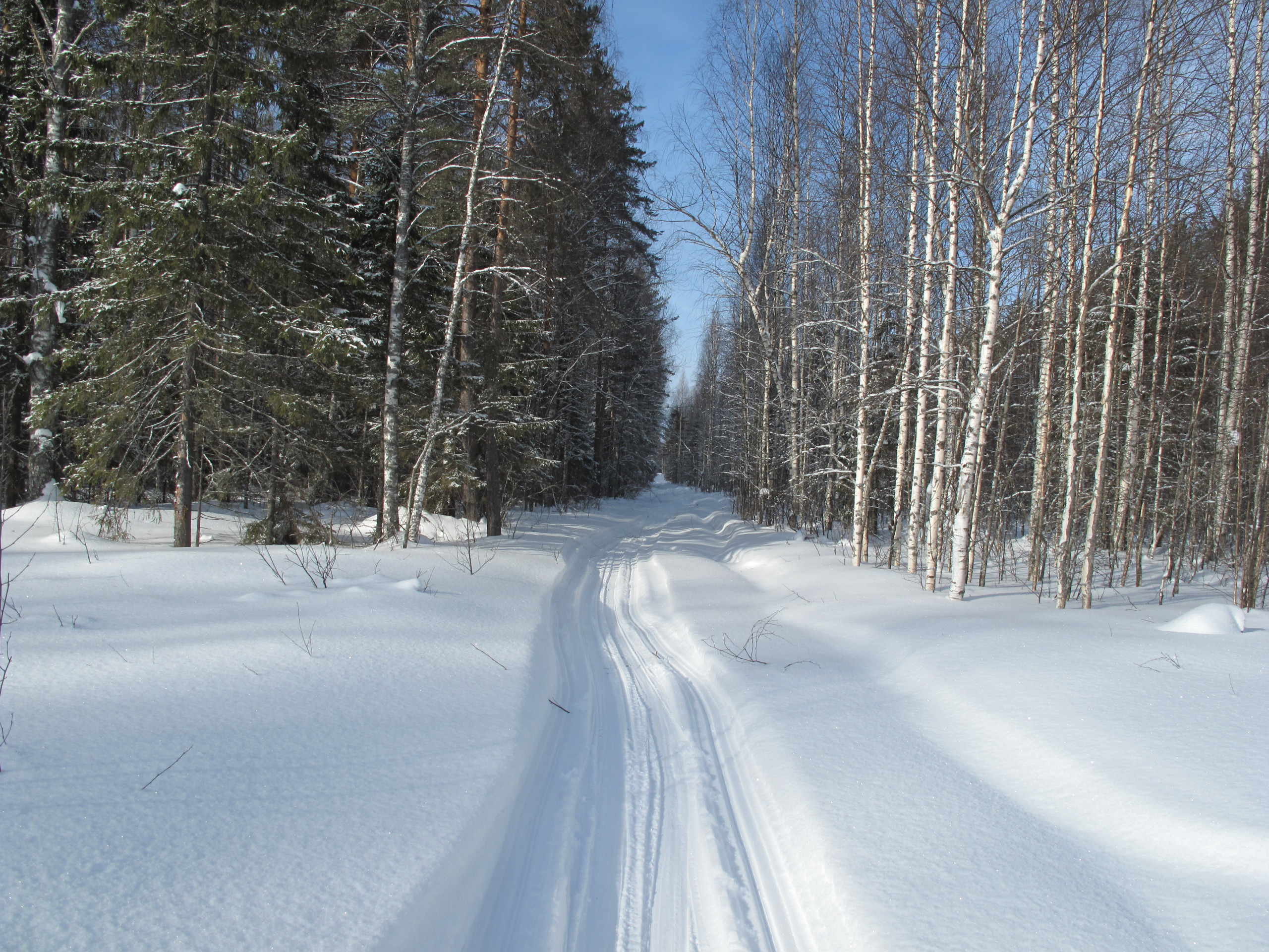 hunting-in-Kirov