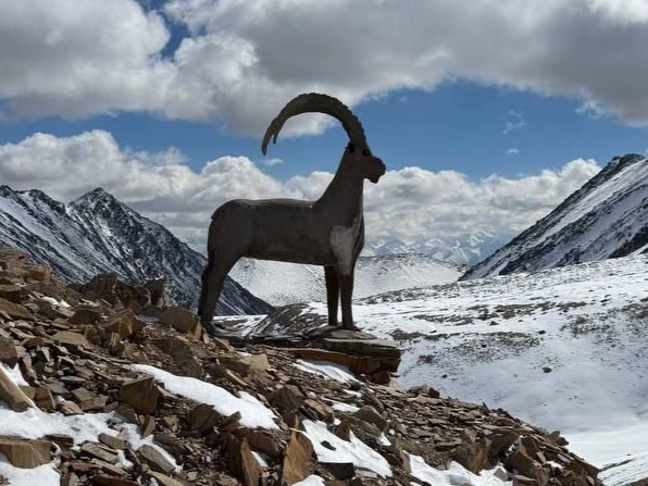 hunting-in-kyrgyzstan
