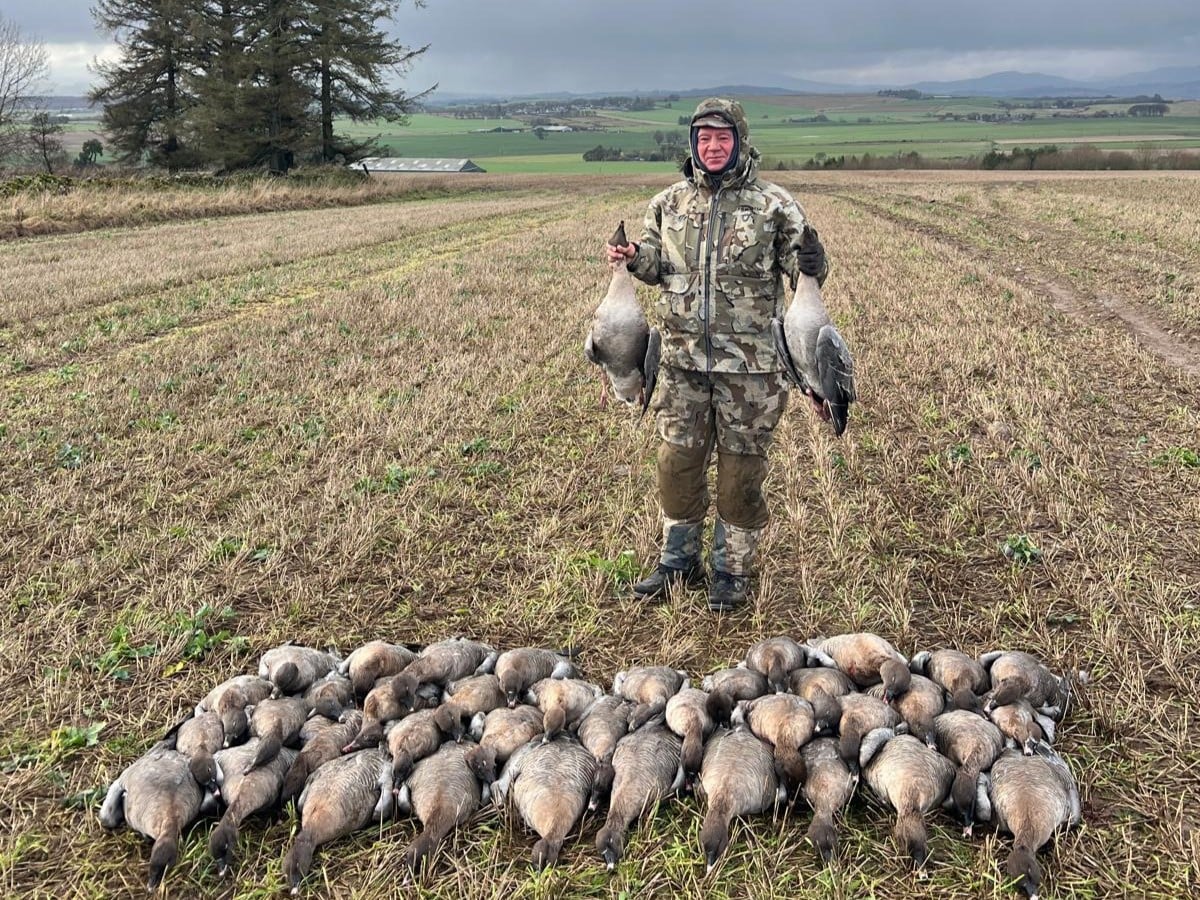 hunting-scotland