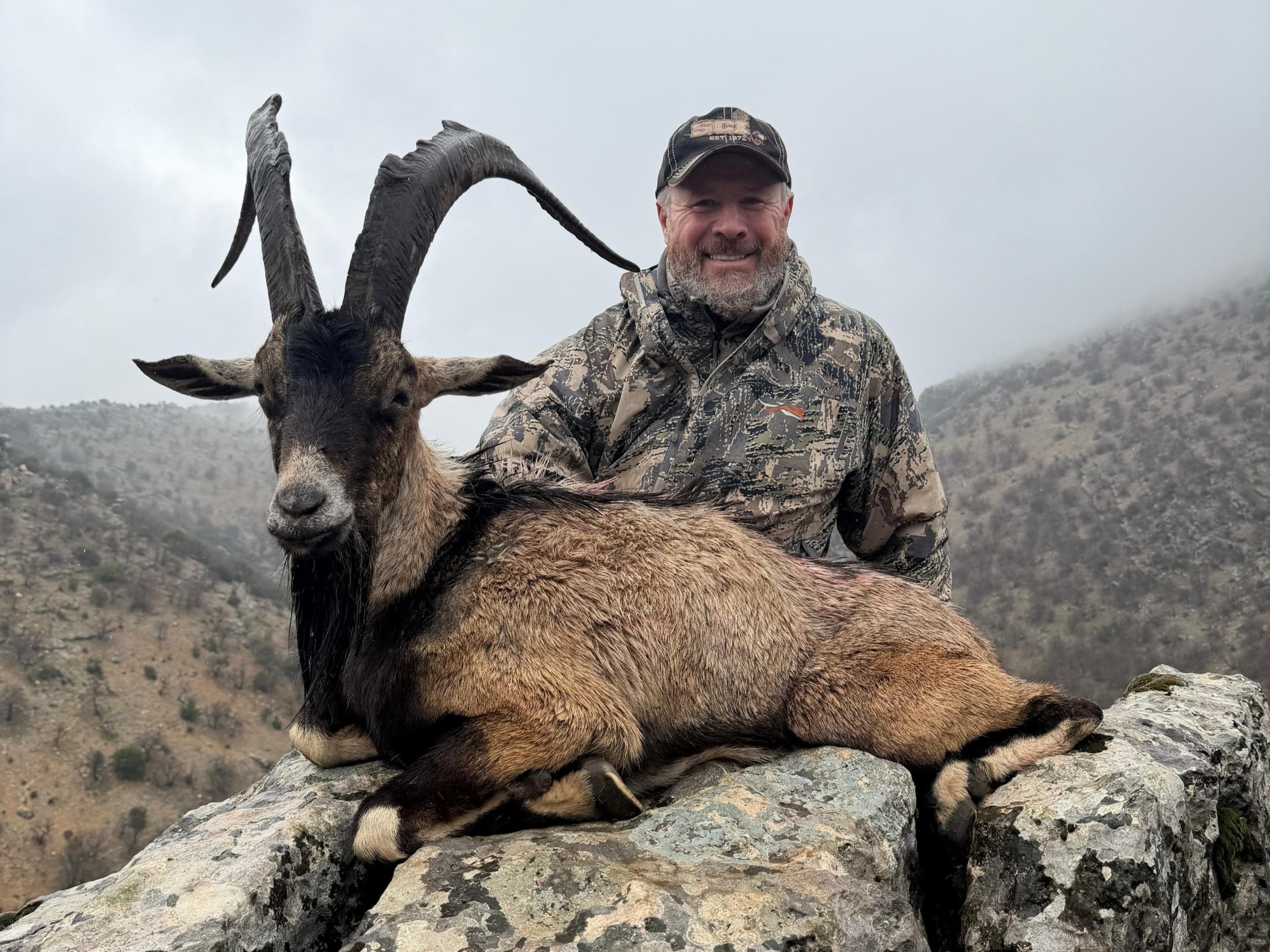 hybrid-ibex