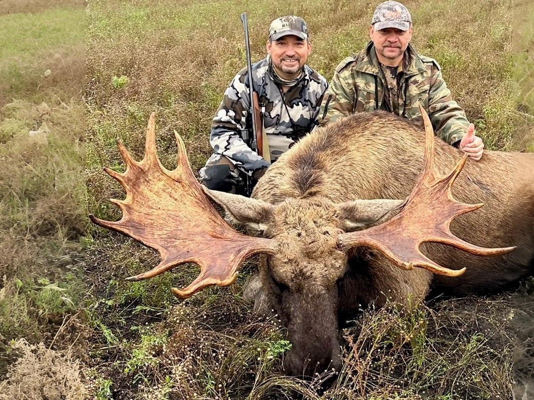 large-european-moose-trophy