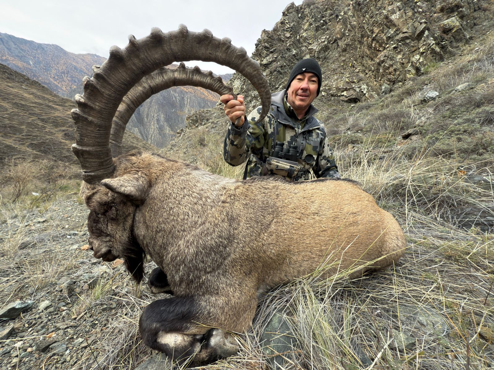 large-sayan-ibex