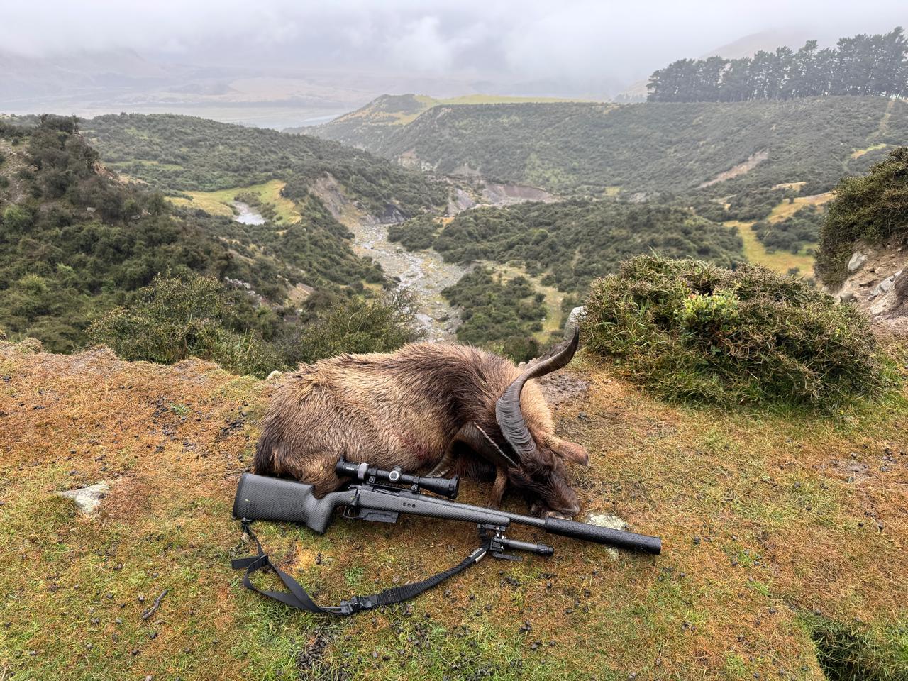 new-zealand-hunting-trophy