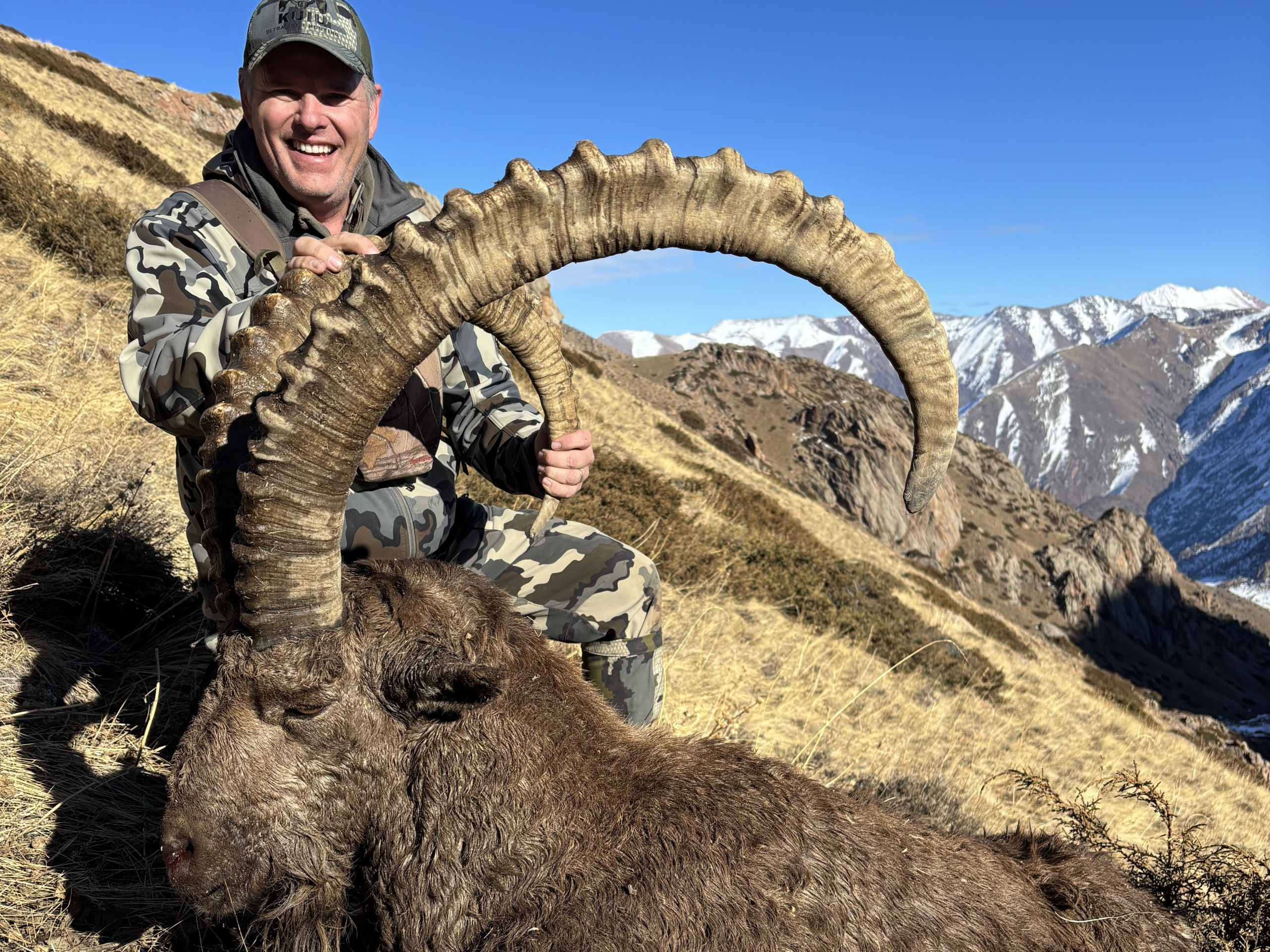 perfect-mid-asian-ibex-horns