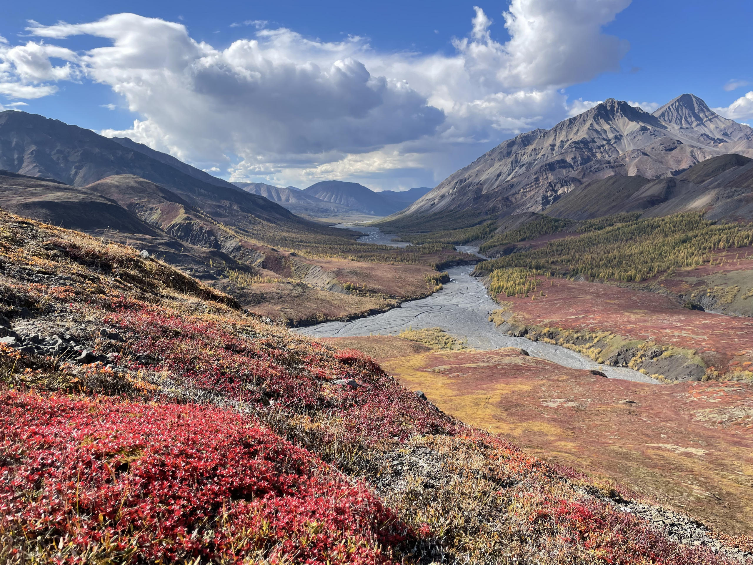 picturesque-hunting-area
