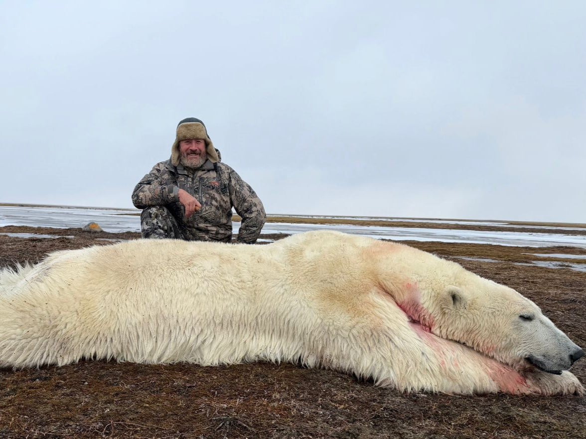 polar-bear-trophy