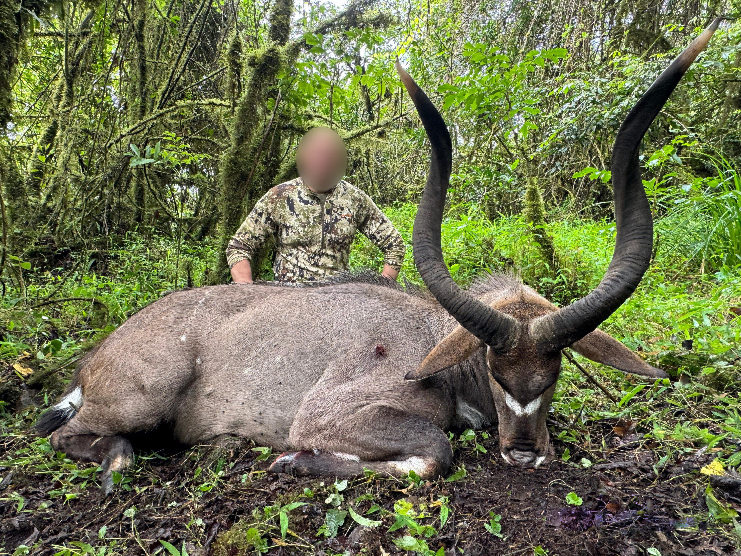 rare-trophy-ethiopia