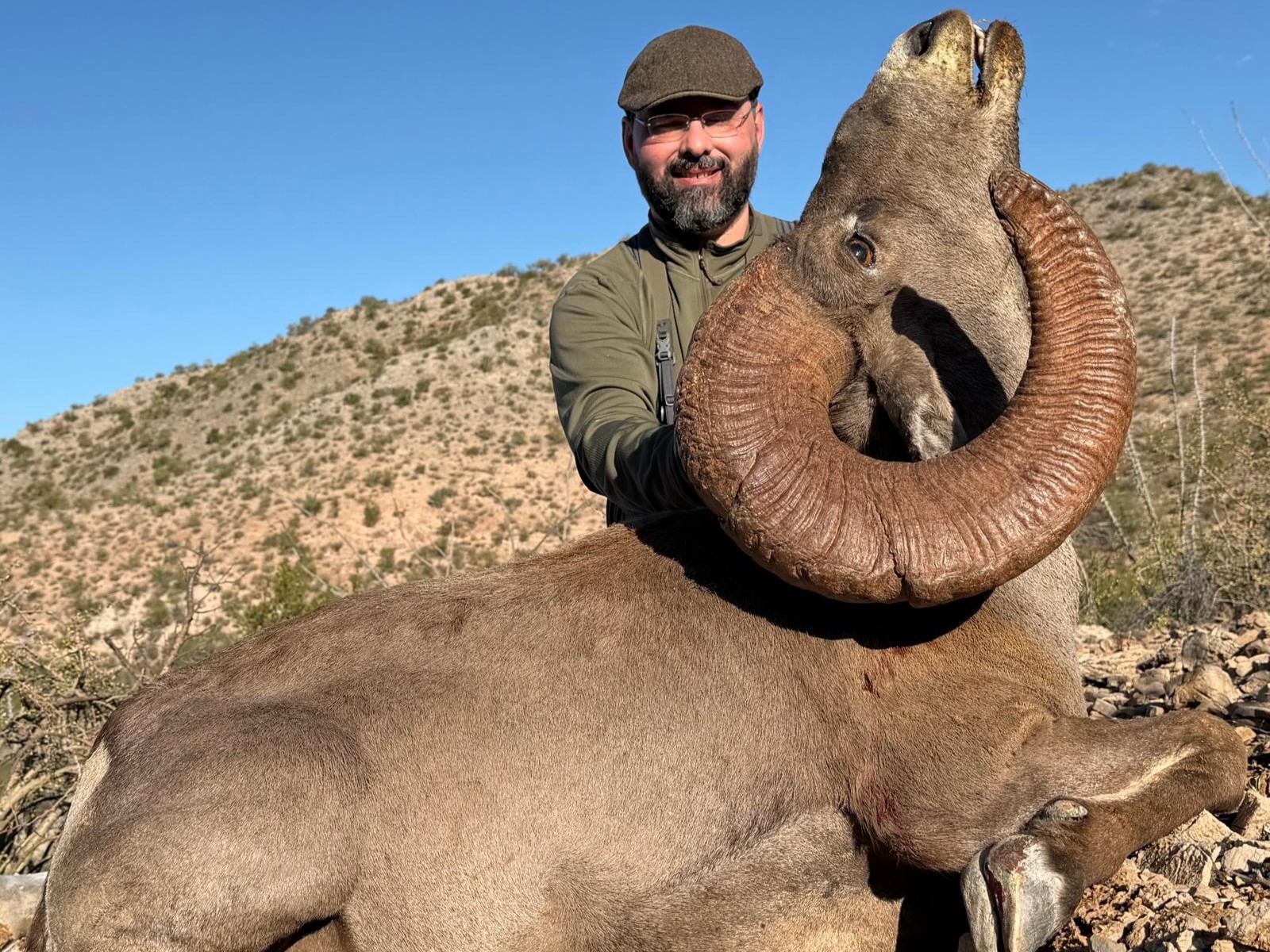 sheep-hunt-mexico