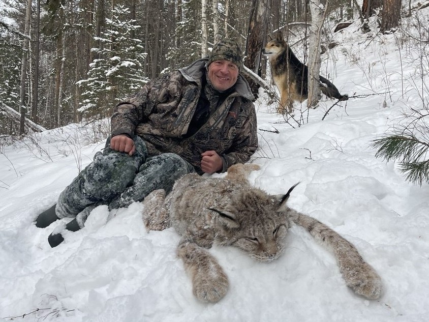 siberian-lynx-trophy