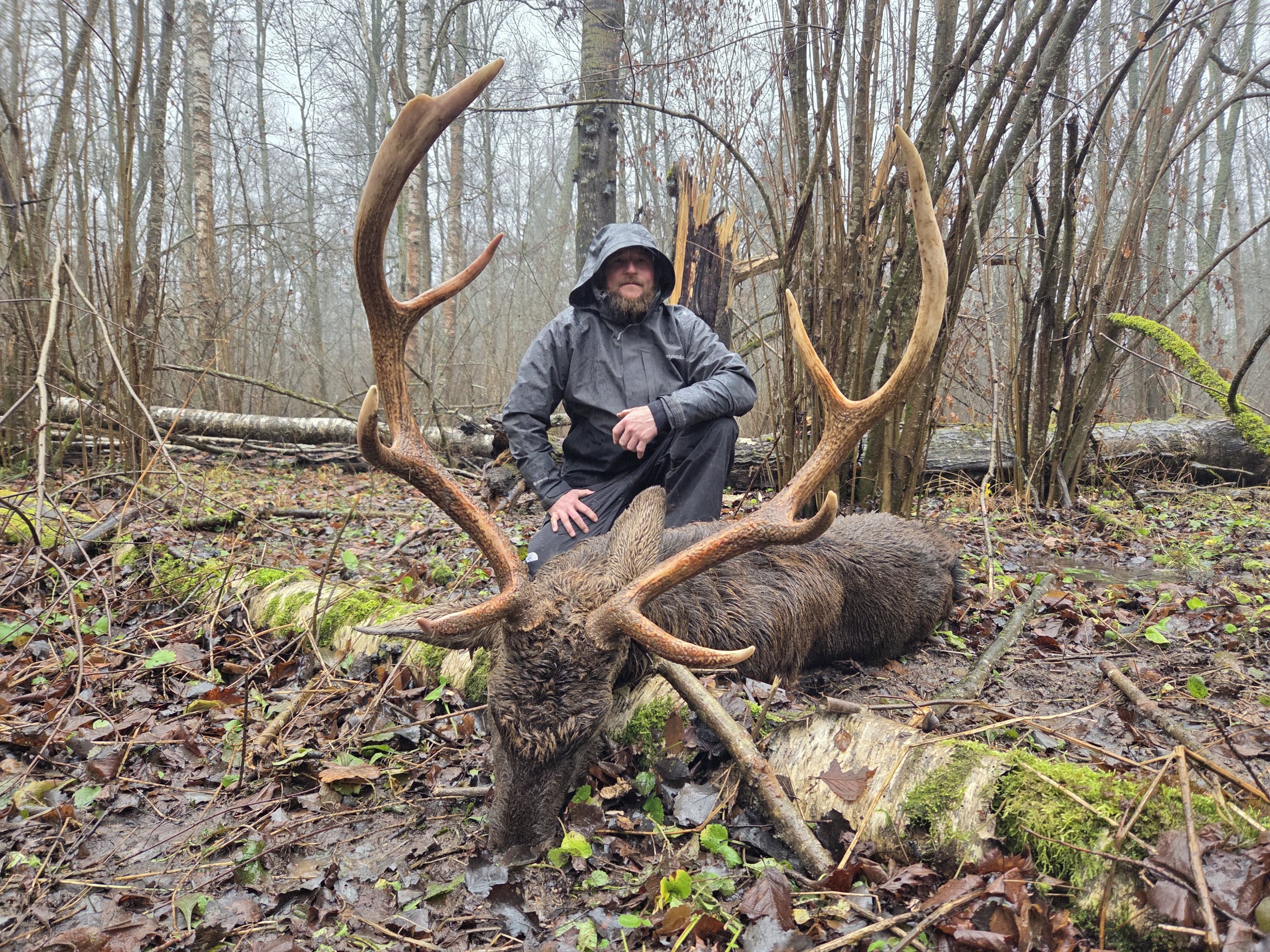 sika-deer-hunting