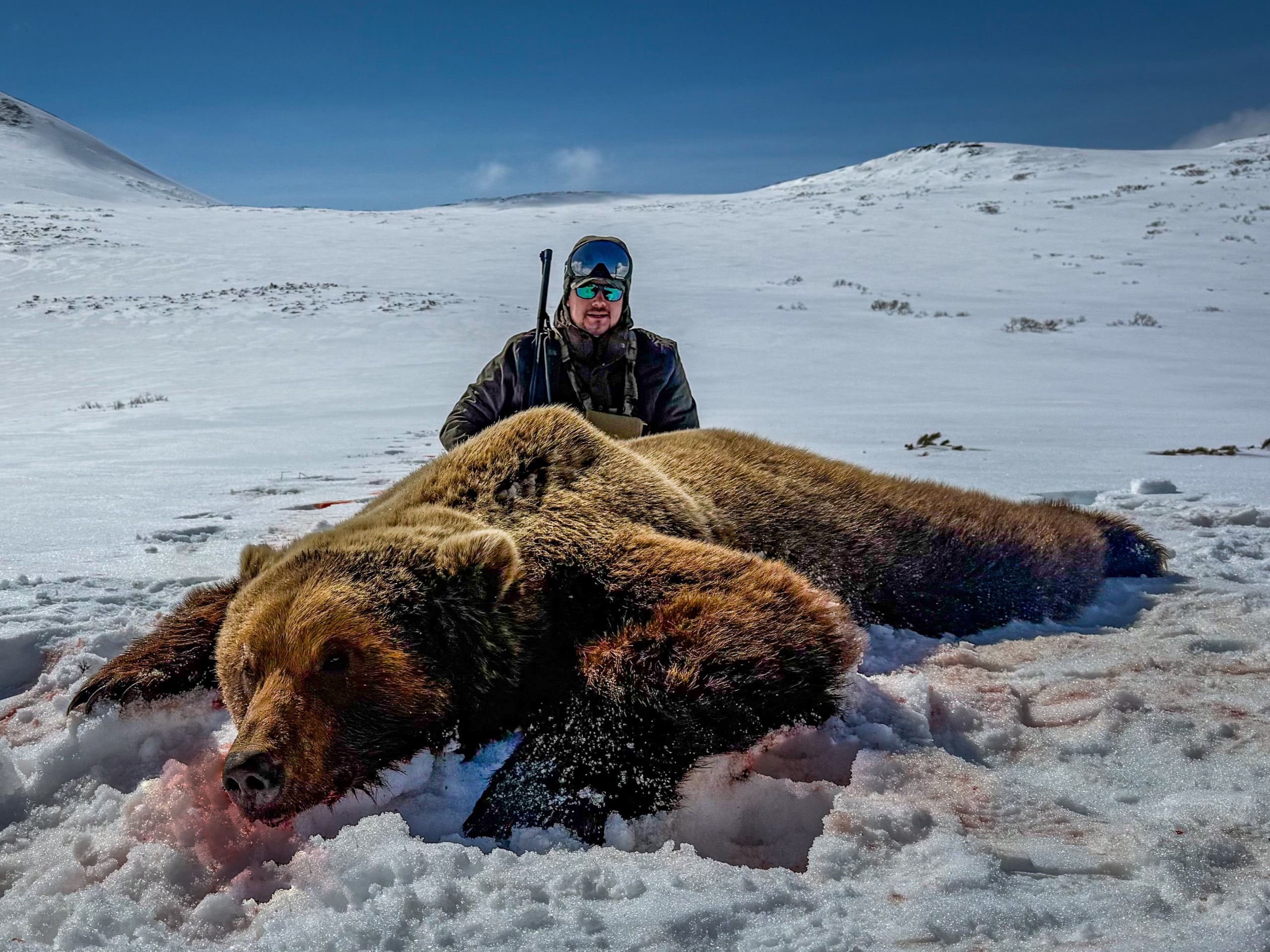trophy-brown-bear