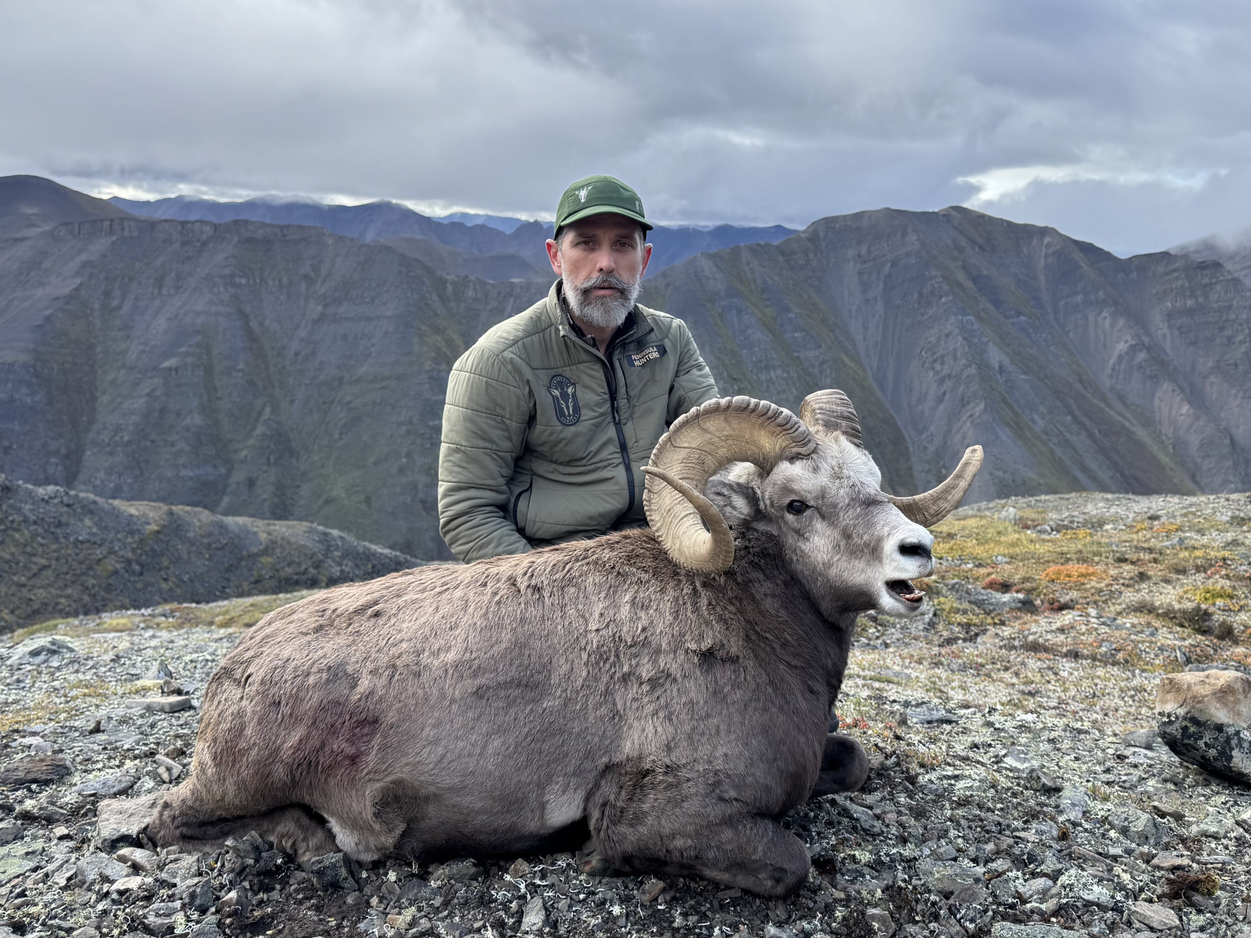 trophy-of-yakutia-snow-sheep