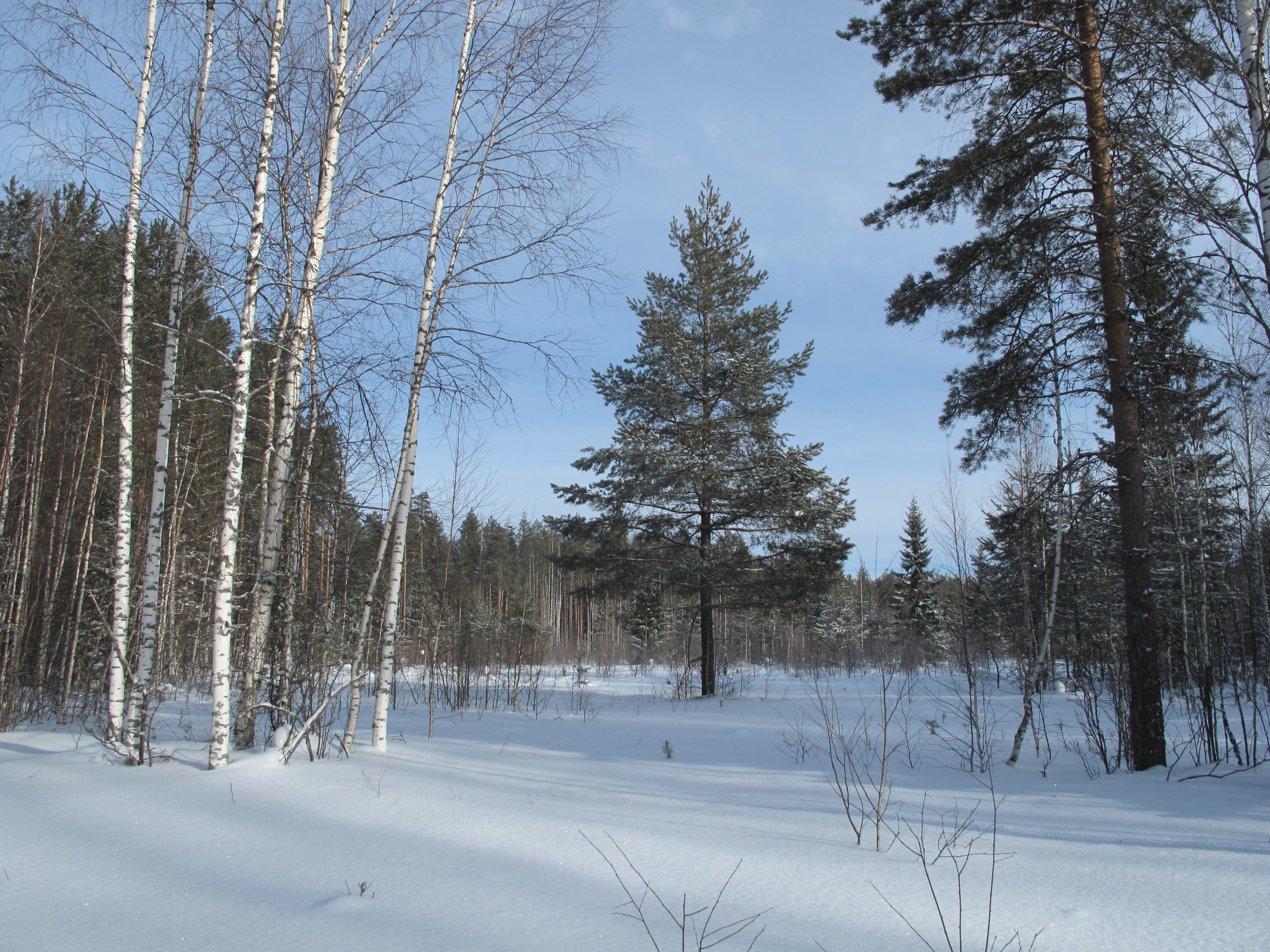winter-hunt-in-russia